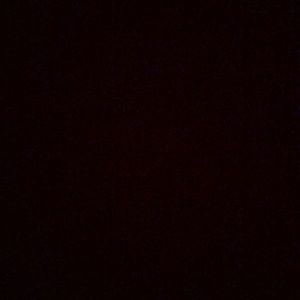 Meet your Posher, Cole